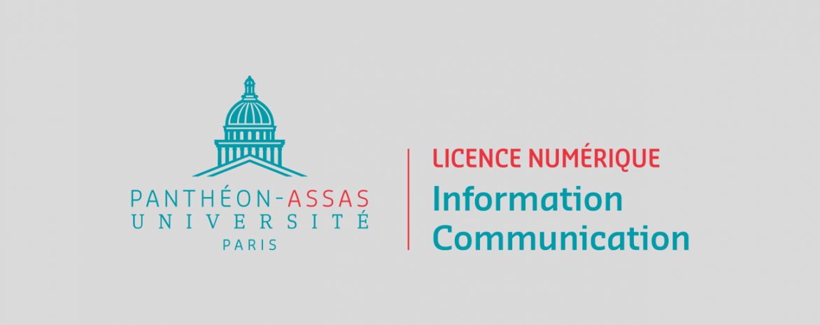 logo licence numérique information communication